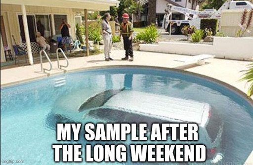 Picture of a car in a pool. Bottom text: My sample after the long weekend 