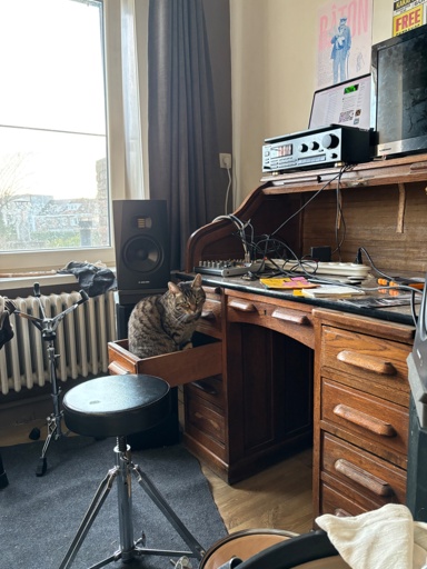 A European shorthair sits in a desk drawer, looking at the camera. The desk is an old, wooden one, retro looking