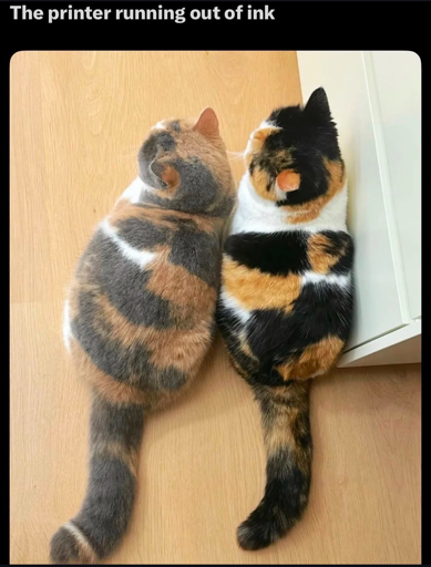 An image captioned "The printer running out of ink". The image shows a calico cat (black, white, orange spots) next to another cat with very similar spots and markings but in a more faded tone.