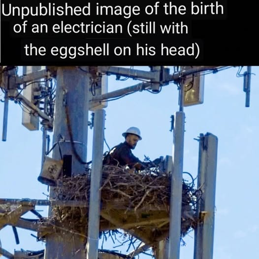 A photo of an engineer in what looks like a bird's nest surrounded by poles high up in the air. The engineer wears a white helmet. The image is captioned "Unpublished image of the birth of an electrician (still with the eggshell on his head)"